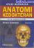 Atlas Berwarna Anatomi Kedokteran: Latin Nomenclature (Buku 1)